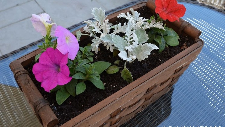 How To Create A Simple Wicker Basket Planter - DIY Home Tutorial - Guidecentral