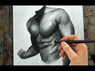 How to Draw the Male Torso, Chest, Arms- Step by Step