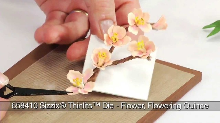 How to Use Sizzix Thinlits Flowering Quince  Die 658410