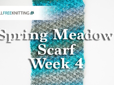 Knit Along: Spring Meadow Scarf Week 4