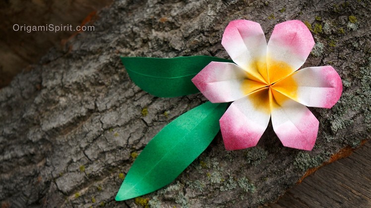 Origami Flower -Easy and Fast :: Flor fácil y rápida