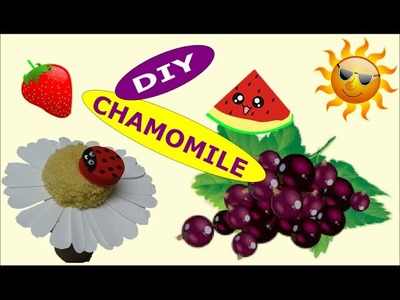 DIY Crafts: Chamomile out Recycling Plastic Bottles - Recycled Bottles Crafts