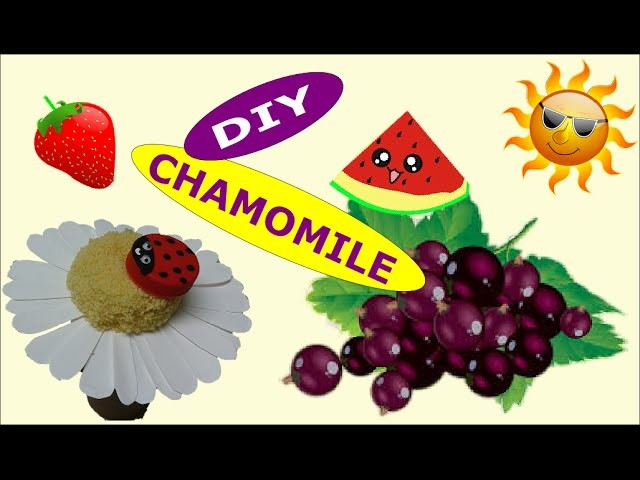 DIY Crafts: Chamomile out Recycling Plastic Bottles - Recycled Bottles Crafts