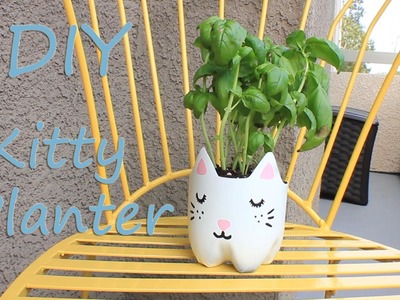 DIY Recycled Crafts! Kitty Planter