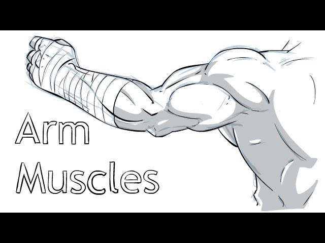 Arm animation. Drawing simple muscular Arms.