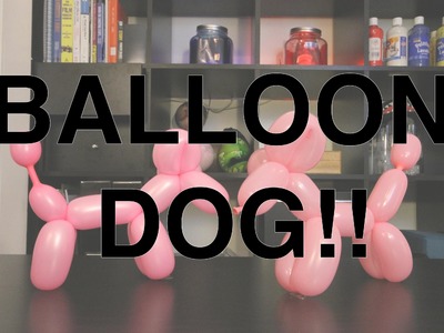 Balloon Animal Dog!!