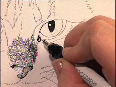 Creating Textures in Pen & Ink with Watercolor Claudia Nice, Part 2