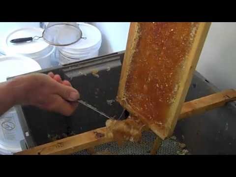 Extracting Honey on the Cheap