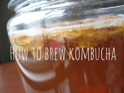 How to Make & Brew Kombucha Tea