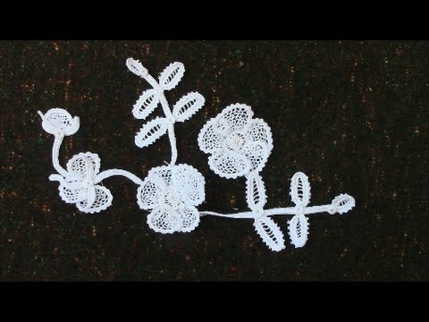 Irish Crochet Lace, the Wild Rose