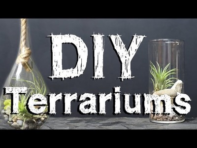 MakersKit Video Guides: Build Your Own Terrarium