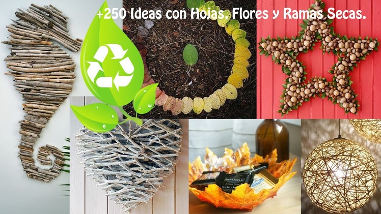Reciclar Hojas, Flores y Ramas Secas +300 Ideas.  Recycling leaves, flowers and dry branches.