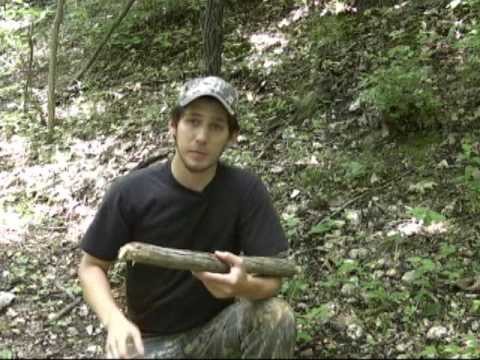 Throwing Sticks For Wilderness Survival - Part 1