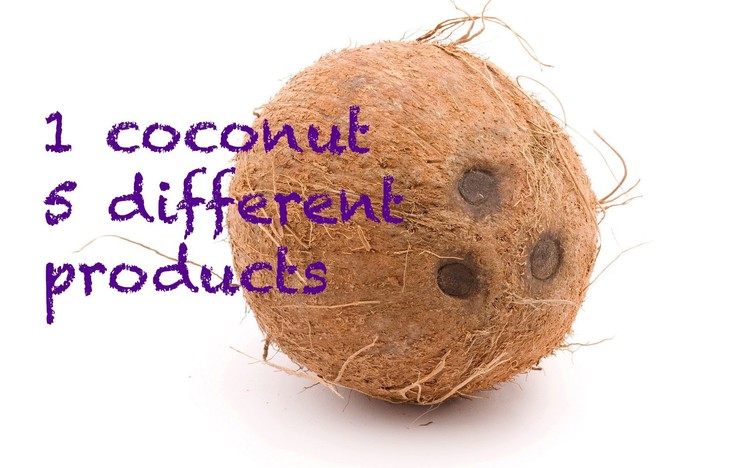 DIY: 1 Coconut, 5 Different Products