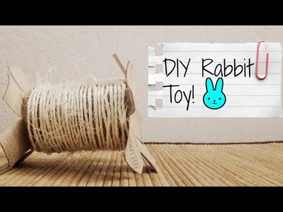 DIY Bunny Toy!