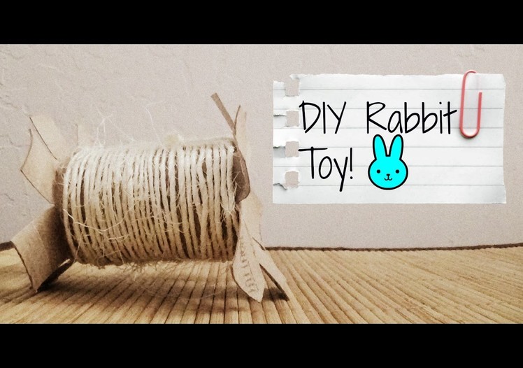 DIY Bunny Toy!