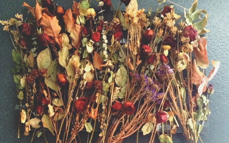 DIY: Dried Flower Collage