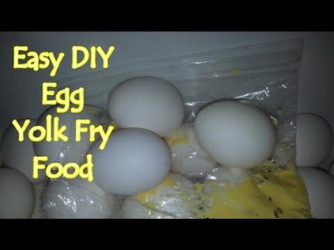 Easy DIY Egg Yolk Fry Food