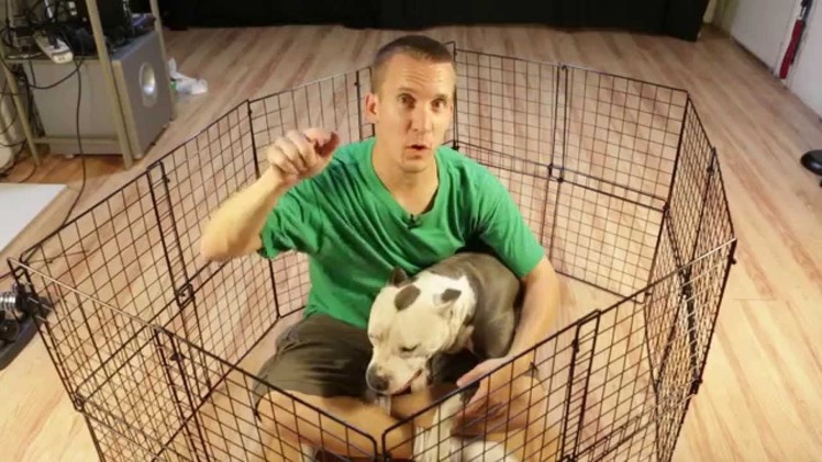How to build a cheap DIY temporary dog playpen