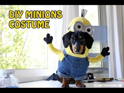 How to Make the Minions Small Dog Costume | DIY Costume