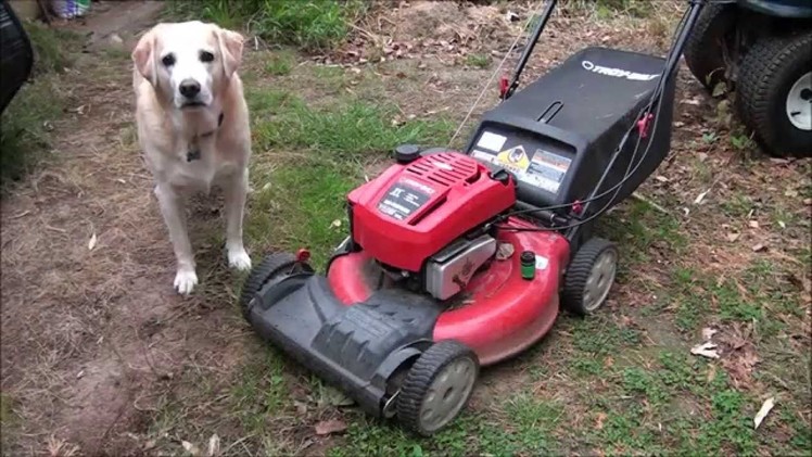 LAWNMOWER DIY 101: How to replace the Spark Plug in my Lawnmower