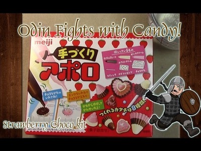 Odin Fights with Candy: DIY Choco Strawberry Kit