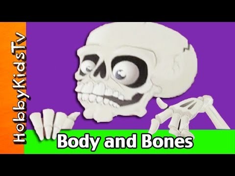 Body and Bones + Mold a Skull! Dough Science Kit DIY Toy Review by HobbyKidsTV