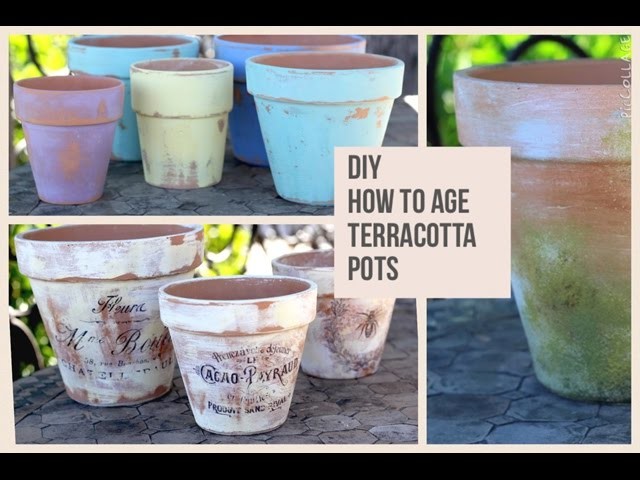 DIY | How to Age Terracotta Pots