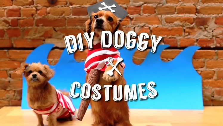 EASY DIY HALLOWEEN COSTUMES FOR YOUR PET (DOG)