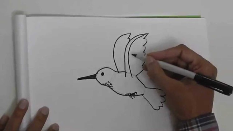 How to draw a Humming Bird - in easy steps for children, kids, beginners