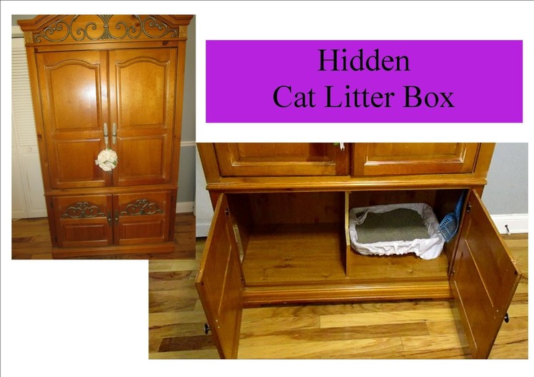 DIY Hidden Cat Litter Box