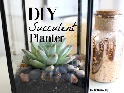 DIY Succulent Planter