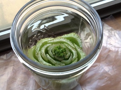 DIY Tutorial: How to Grow Celery in a Glass Jar