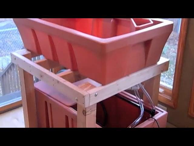 Indoor Home Aquaponics Setup Part 1