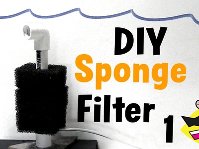DIY Sponge Filter: Cheap Aquarium Filter Build