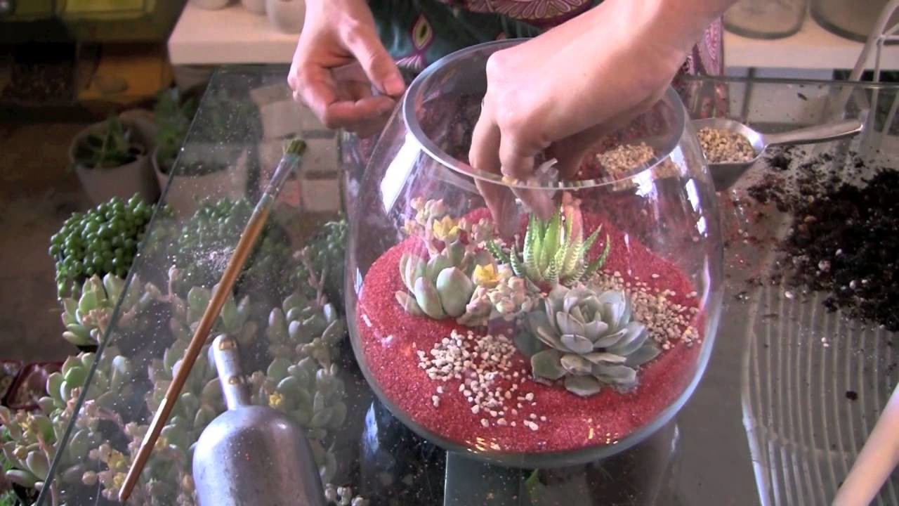 How to Design & Plant a Succulent Terrarium