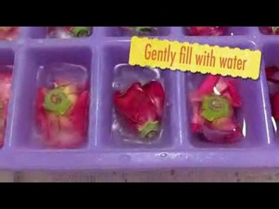 How To Make Fresh Floral Ice Cubes