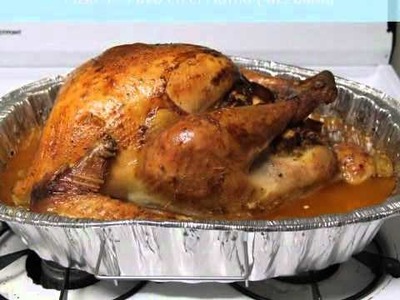 Thanksgiving Turkey - Pavo Acción de Gracias - EMAIL