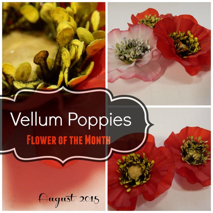 Flower of the Month - DIY Paper Flowers August 2015 Vellum Poppies | An Inkin' Stampede