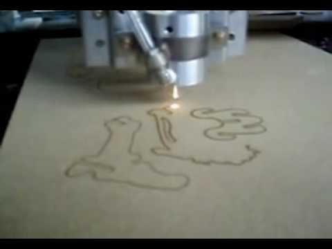 Homemade laser CO2 cutting a sabertooth