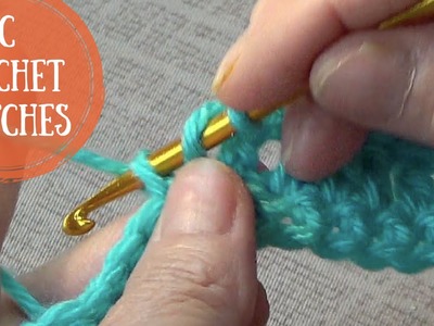 Basic Crochet Stitches: Single, Double, Half, Backloop, Front.Back