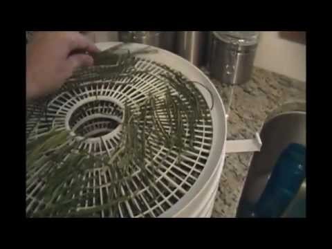 DIY Herb Drying (Chives) Tutorial