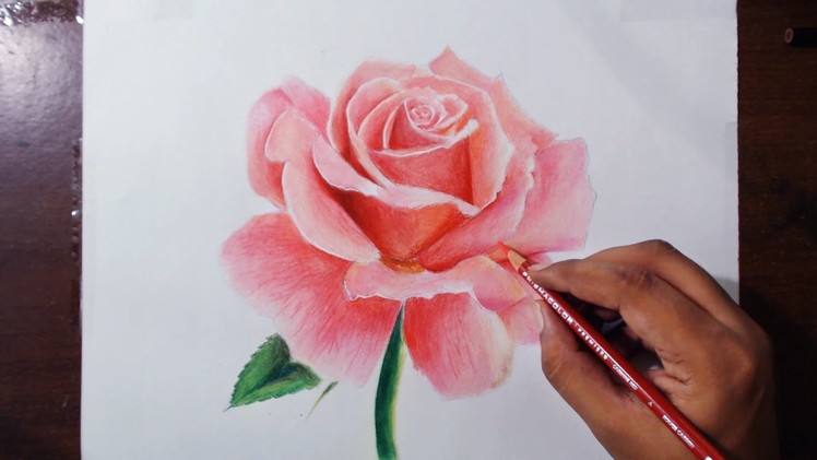Drawing a Rose - Flower drawing series 1 - Prismacolor pencils
