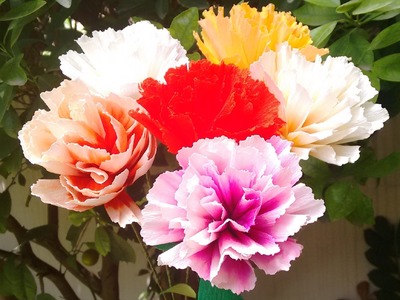 How to make Paper flower - Double shaded Carnations.
