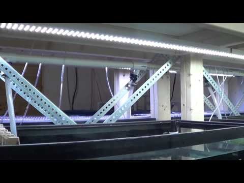 #284: How to Build a DIY LED Aquarium Light - DIY Wednesday