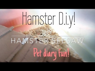 D.I.Y Hamster: SeeSaw! (Easy)