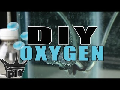 HOW TO: $2 DIY Aquarium oxygen TUTORIAL