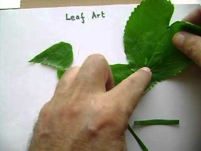 How to create simple leaf art showing a bird?
