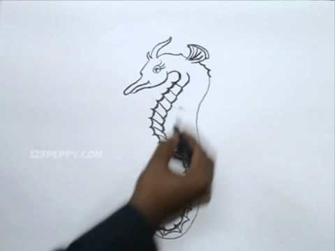 How to Draw a Detailed Sea Horse