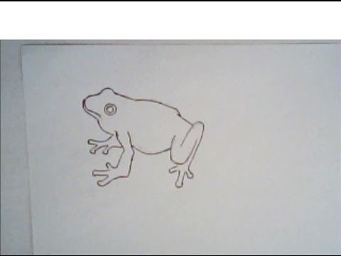 How to draw a frog (simple drawing)